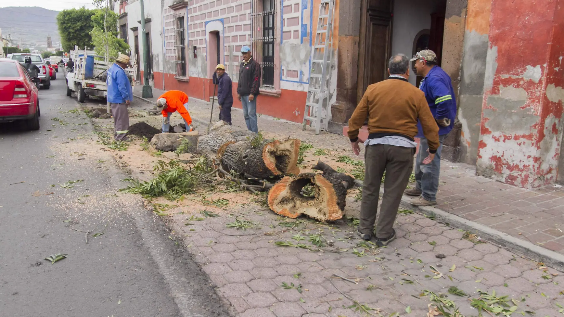 Ayer fueron retirados árboles sobre avenida Juárez.  Foto César Ortiz.